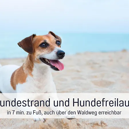 Strandloft Im Haus Frauenpreiss Sahlenburg - Strandnah - 2 Hunde Willkommen -schwimmbad - Sauna - Direkt Am Wald - Dachterrasse Mit Blick Nach Neuwerk Appartamento *