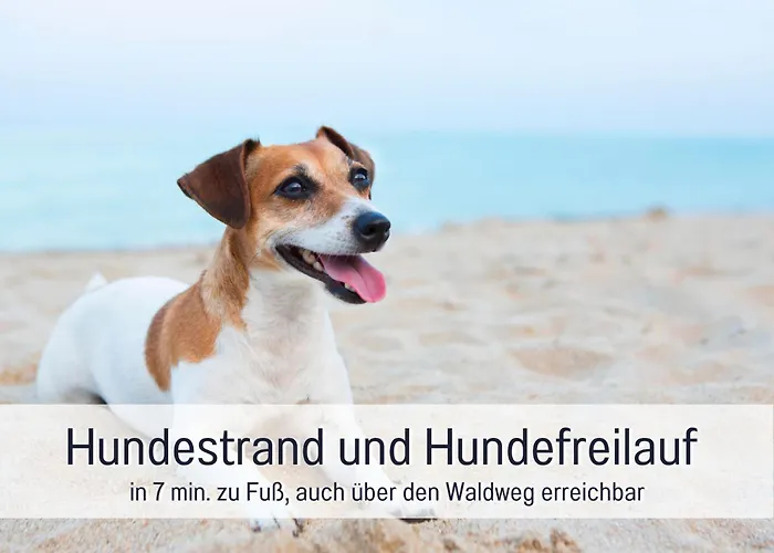 Strandloft Im Haus Frauenpreiss Sahlenburg - Strandnah - 2 Hunde Willkommen -schwimmbad - Sauna - Direkt Am Wald - Dachterrasse Mit Blick Nach Neuwerk Appartement *